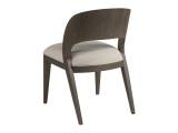 Andare Dining Side Chair